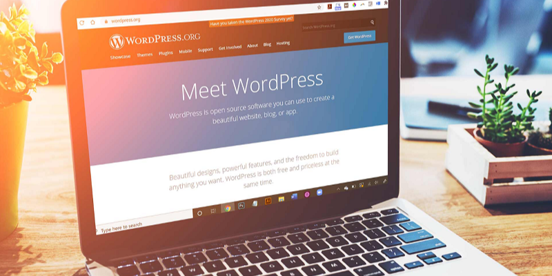 WordPress - Phần mềm thiết kế Website thịnh hành
